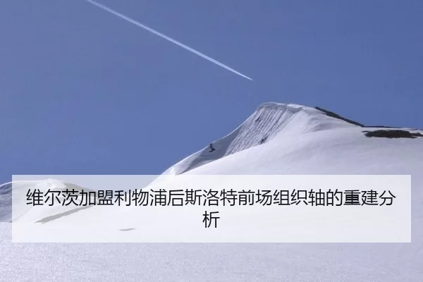 维尔茨加盟利物浦后斯洛特前场组织轴的重建分析